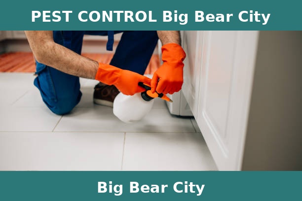 PEST CONTROL Big Bear City